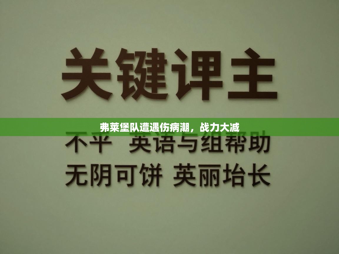 开云体育注册下载-弗莱堡队遭遇伤病潮，战力大减  第2张
