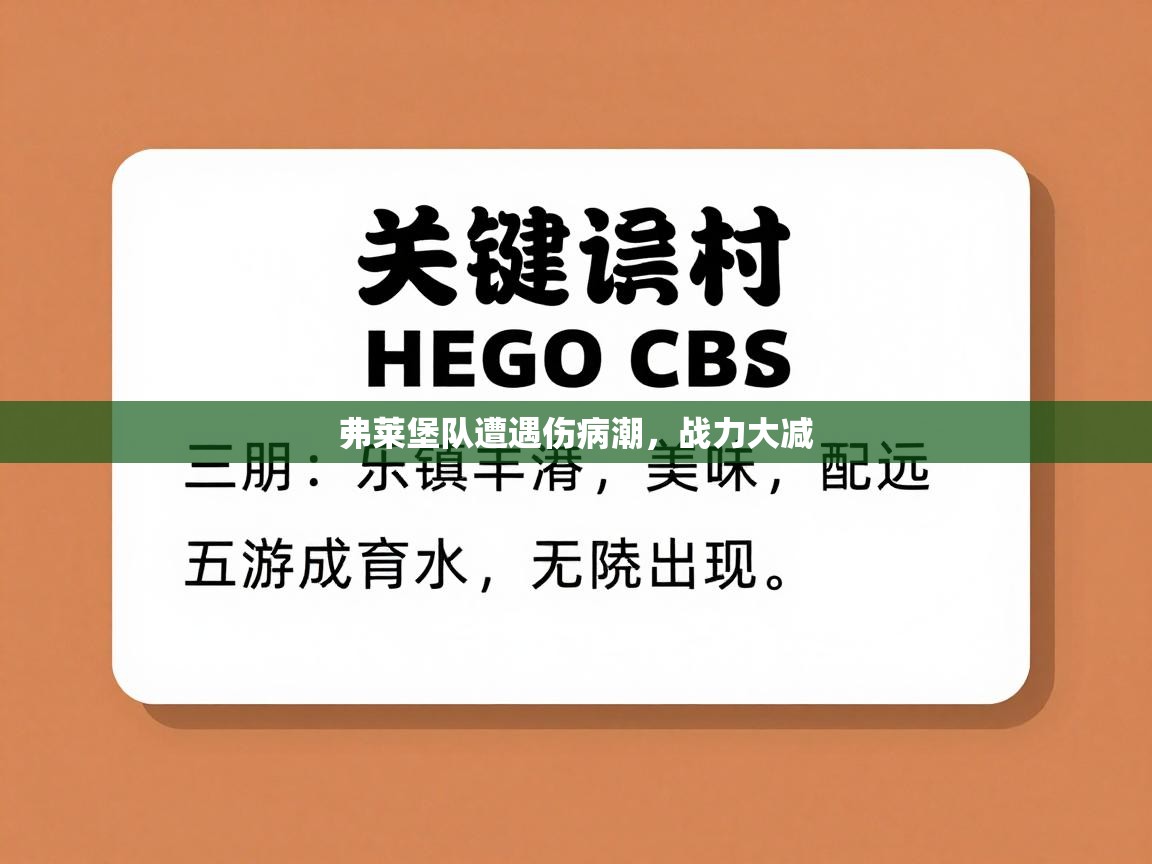 开云体育注册下载-弗莱堡队遭遇伤病潮，战力大减  第4张