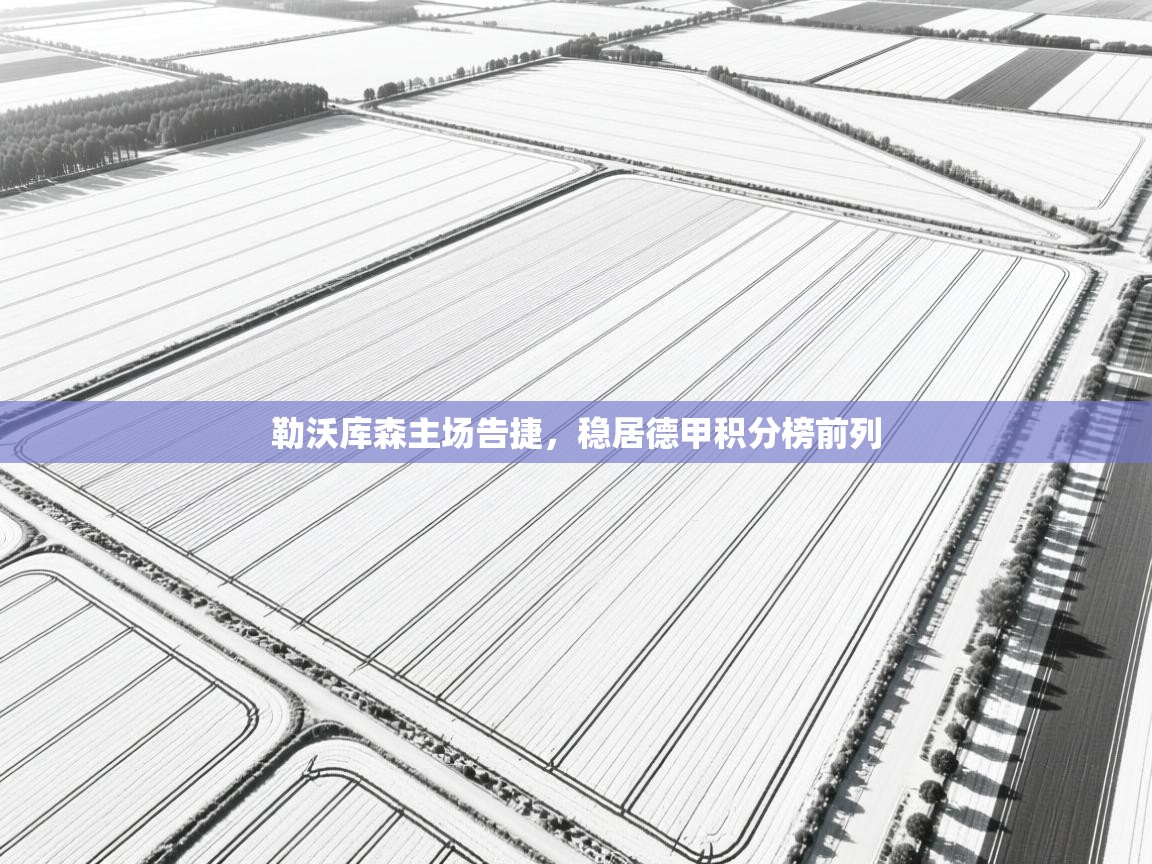 开云体育入口网址-勒沃库森主场告捷，稳居德甲积分榜前列