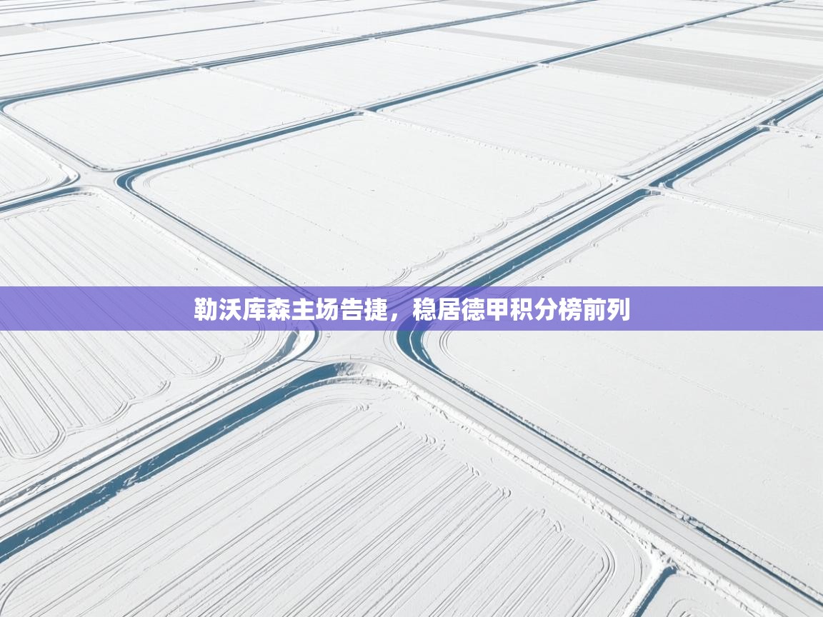 开云体育入口网址-勒沃库森主场告捷，稳居德甲积分榜前列  第2张