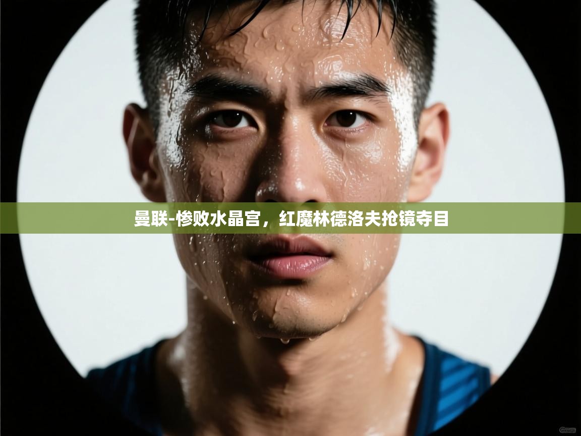 开云体育app下载-曼联-惨败水晶宫，红魔林德洛夫抢镜夺目  第2张