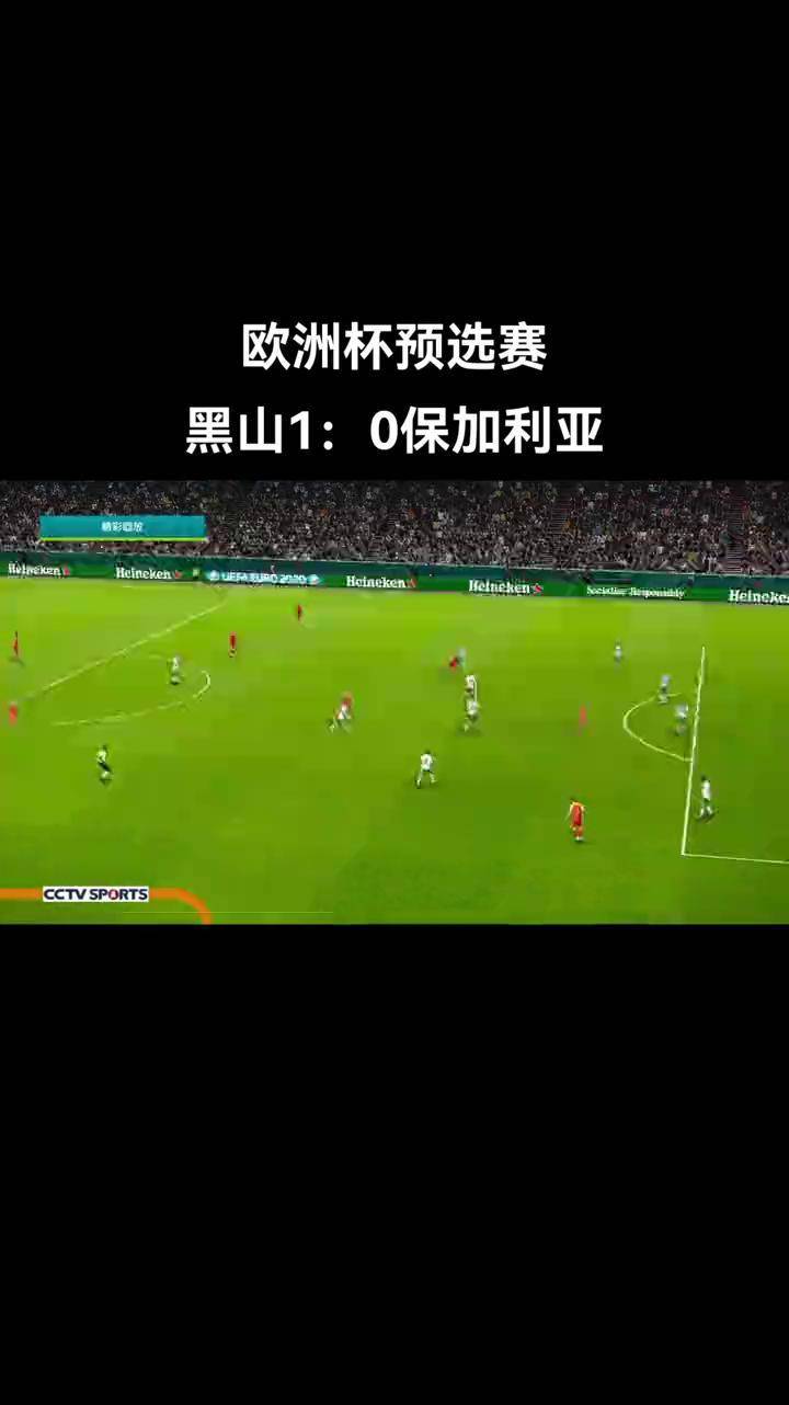 开云体育官网首页-激烈竞争！欧洲杯预选赛赛场上奇袭频出