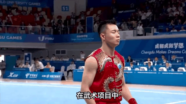 国家代表团金牌收割，斩获多项胜利